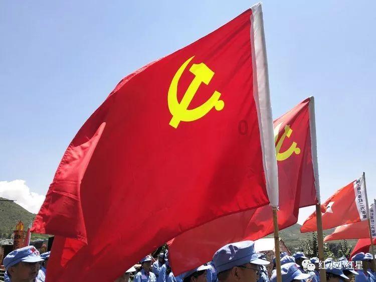 动物帮帮忙保卫家园