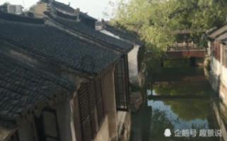 腿肥吃什么水果可以减?-专业问答平台